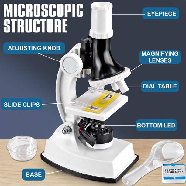 100X-1200X Microscopes for Kids Students Adults, with Microscope Slides Set, Phone Adapter, Powerful Biological Microscopes for School Laboratory Home Education